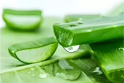 Die Einführung von Aloin