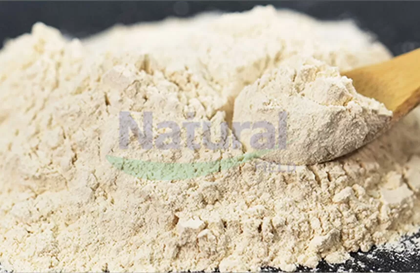 Warum wählen Sie natürliches Feld als Ihr Creatina Liposomal Pulver Lieferant?