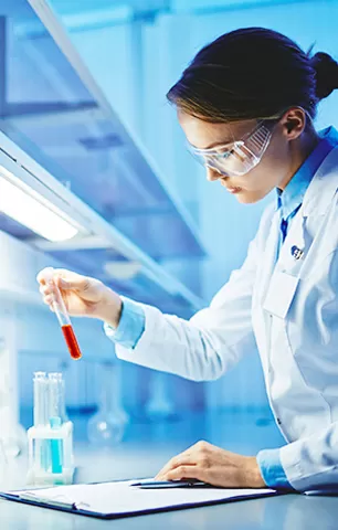 Internat ionale maßgebliche Zertifizierung, strenge Qualitäts kontrolle