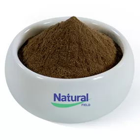 Bacopa Monniera Extrakt Pulver