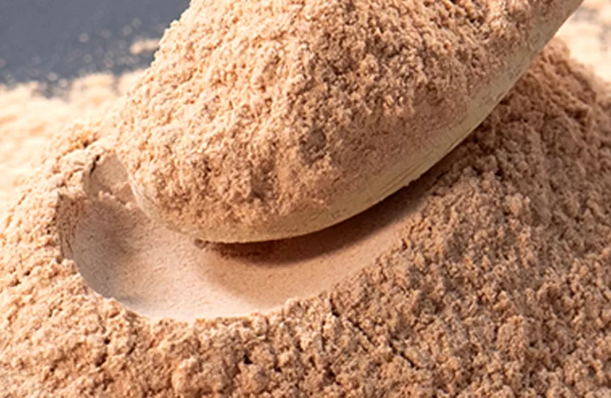 Merkmale des Grüntee-Extrakts