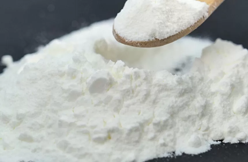 Wirk mechanismen Probiotika Pulver