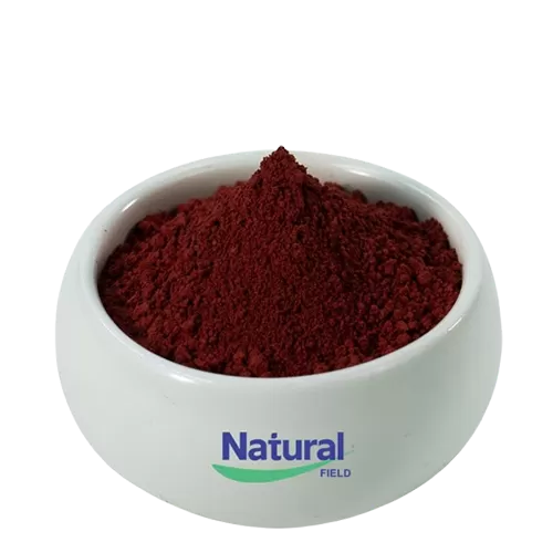 Pyrrolo chinolin Chinon Dinatriumsalz (PQQ) Pulver