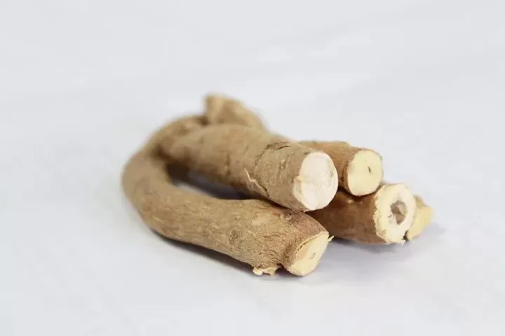 south african devils claw south african devils claw