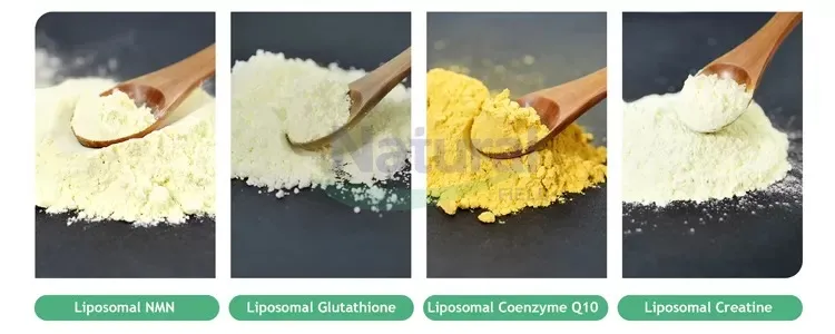 Was ist liposomales Kreatinpulver?