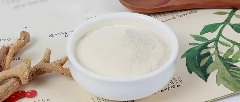 Ankündigung des Innovations forums für natürliche Inhaltsstoffe und Gesundheits produkte 2025 2025 Ankündigung des Innovations forums für natürliche Inhaltsstoffe und Gesundheits produkte