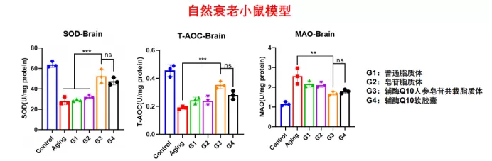 Compelling Results in the Natural Aging Model