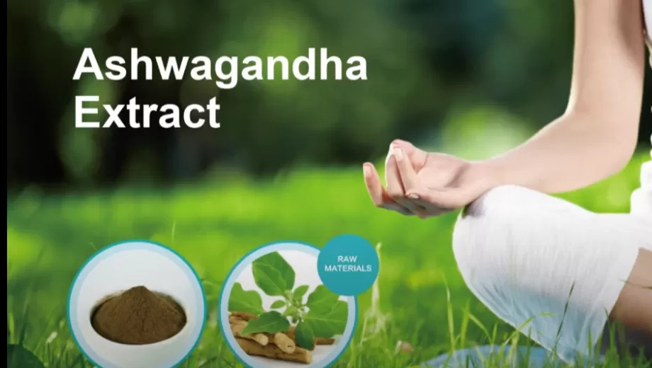 Ashwagandha Extrakt