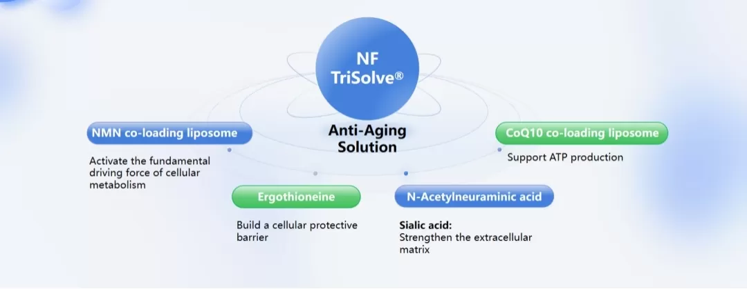 beyond-single-ingredients-why-multi-pathway-anti-aging-solutions-are-the-future-2.jpg
