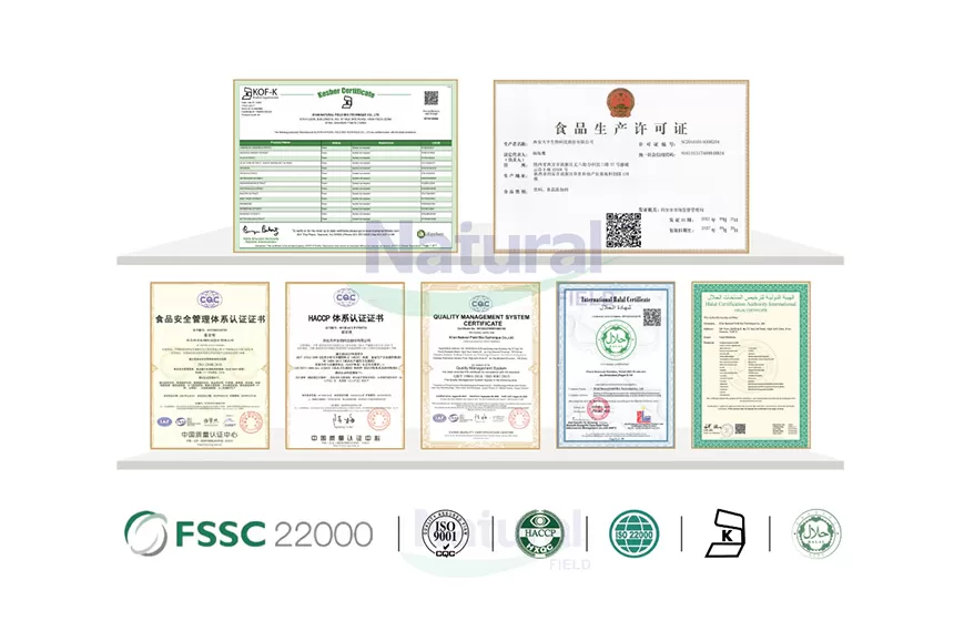 Vorteile von Alpha-Lipon säure (ALA)