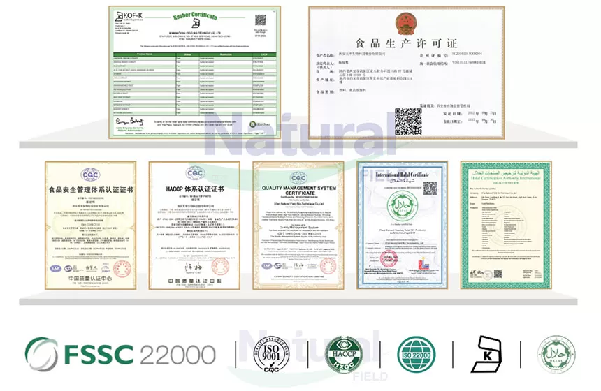 Warum wählen Sie natürliches Feld als Ihr Kreatin-Monohydrat-Pulver-Lieferant?
