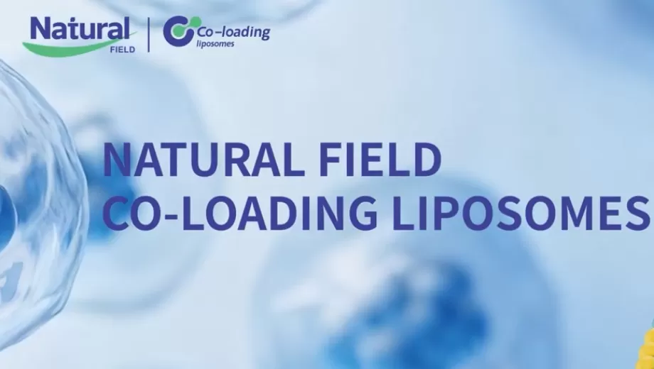 Doppelte Kraft: Co-Loading-Liposomentechnologie