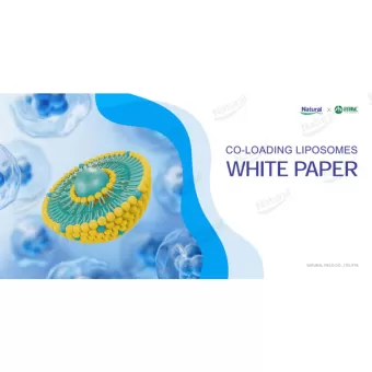 Whitepaper zur Co-Beladung von Liposomen
