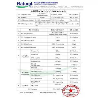 NF-COA-Liposomale Kreatin 70%