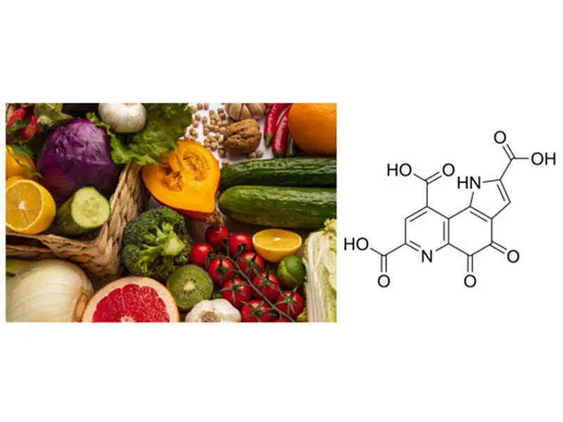 Double Top Journal Endorsement! PQQ als Anti-Aging-Kognitiv anerkannt