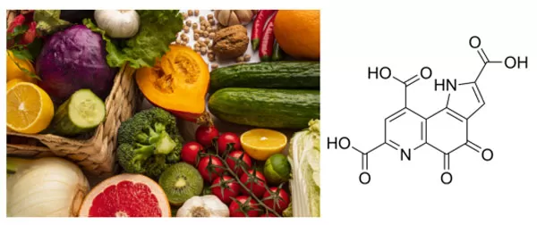 Double Top Journal Endorsement! PQQ Recognized as an Anti-Aging Cognitive