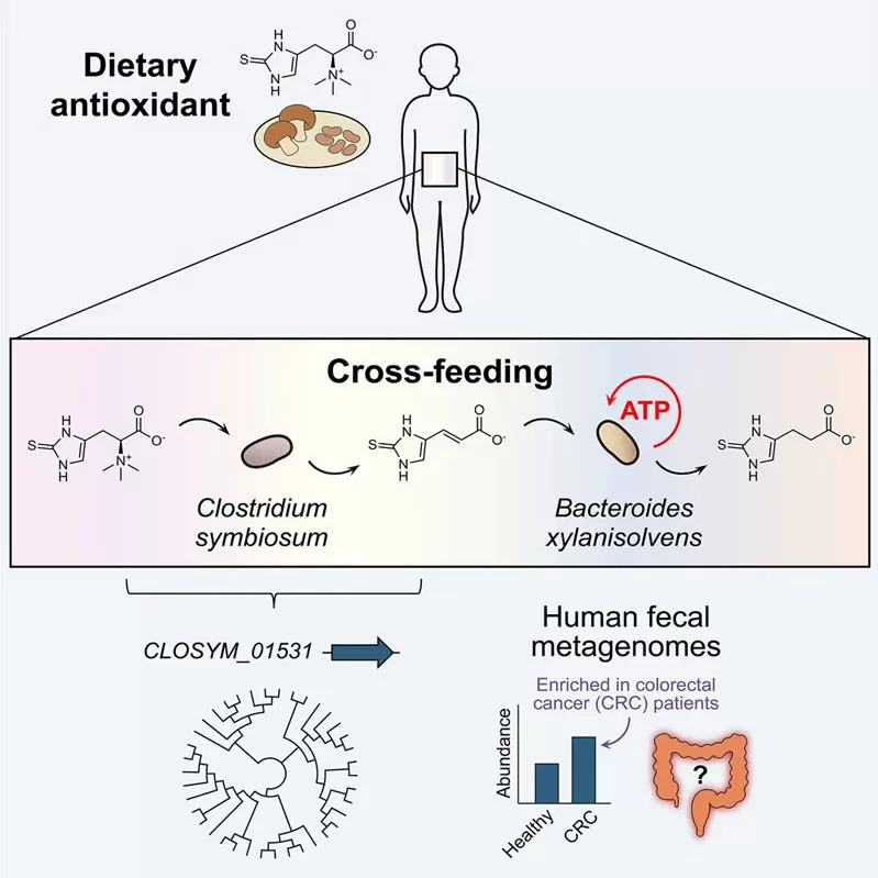 Key findings of the study Key findings of the study