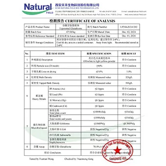 NF-COA Glutathion liposomen 70%