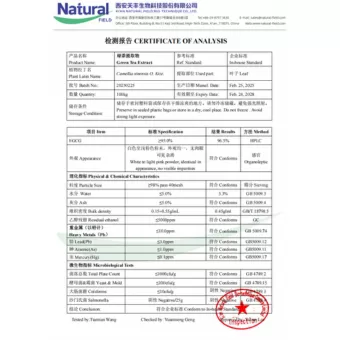 NF-COA Grüntee-Extrakt (EGCG)