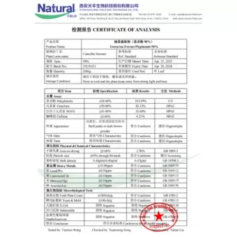 NF-COA Grüntee-Extrakt Polyphenole