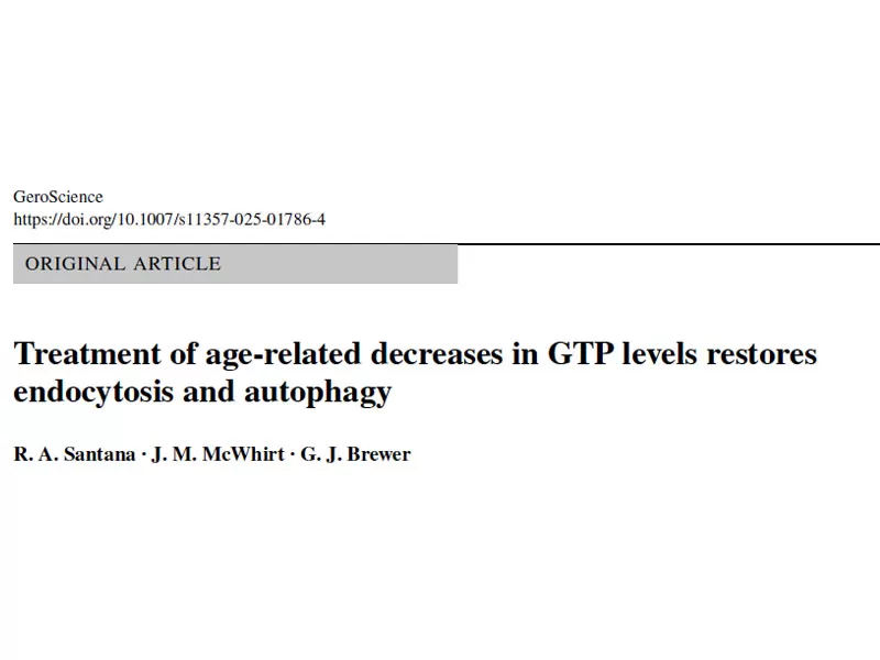 Neueste Forschung Diese Vitamin-Grüntee-Verbindung kann den Energie gehalt der Gehirnzellen schnell wiederherstellen