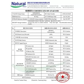 Liposomale Curcumin 70%