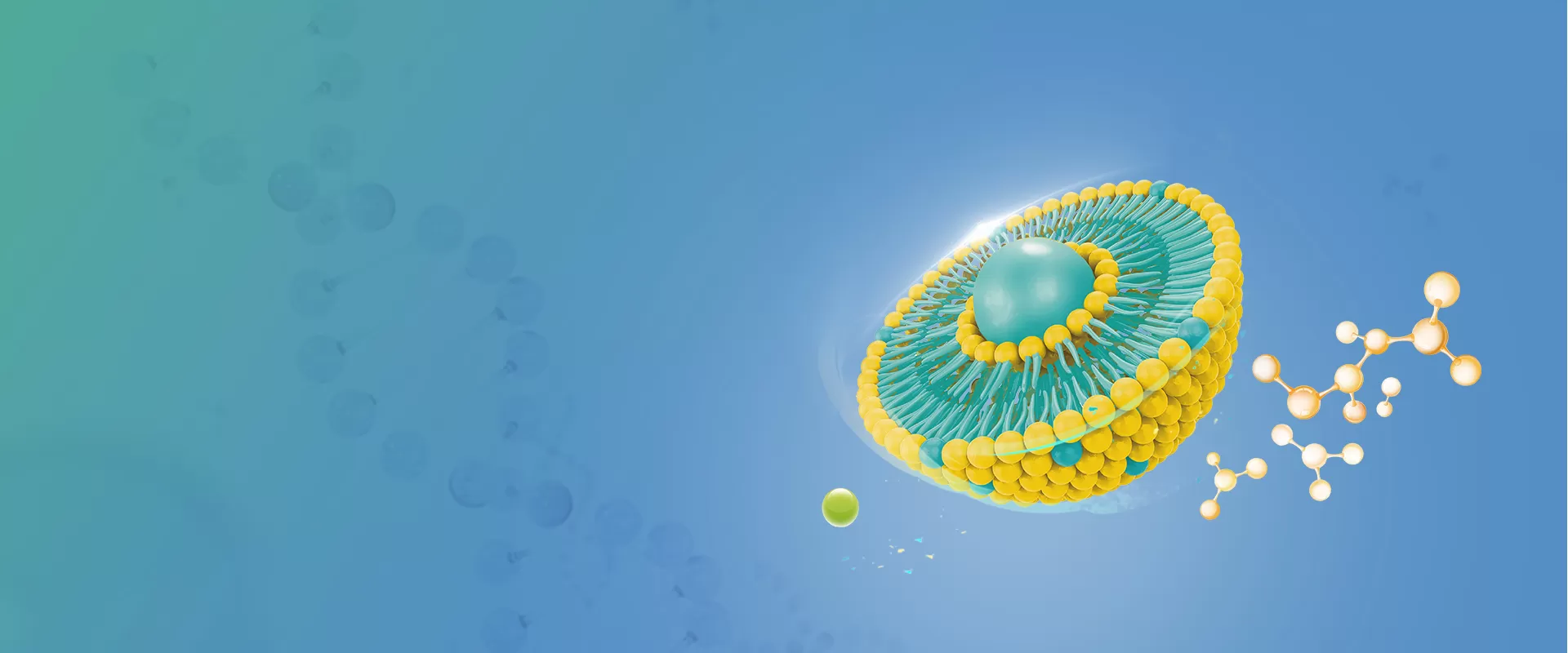 Liposomale Inhaltsstoffe