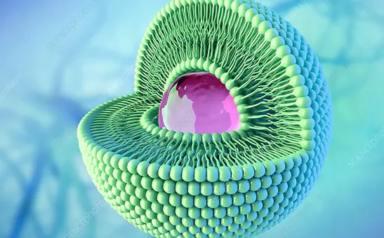 Liposomentechnologie erklärt: Von den Herausforderungen der Bioverfügbarkeit bis zur industriellen Herstellung von liposomalem Pulver