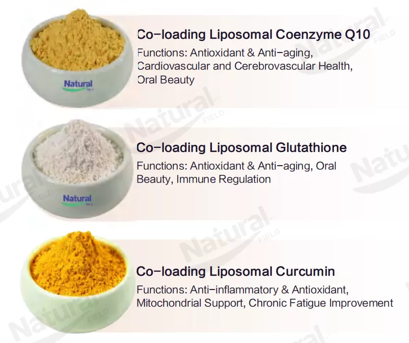 Liposomales Pulver Liposomales Pulver