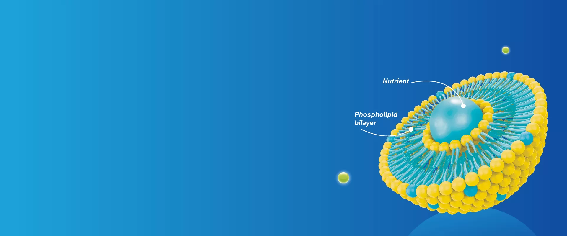 Liposomentechnologie