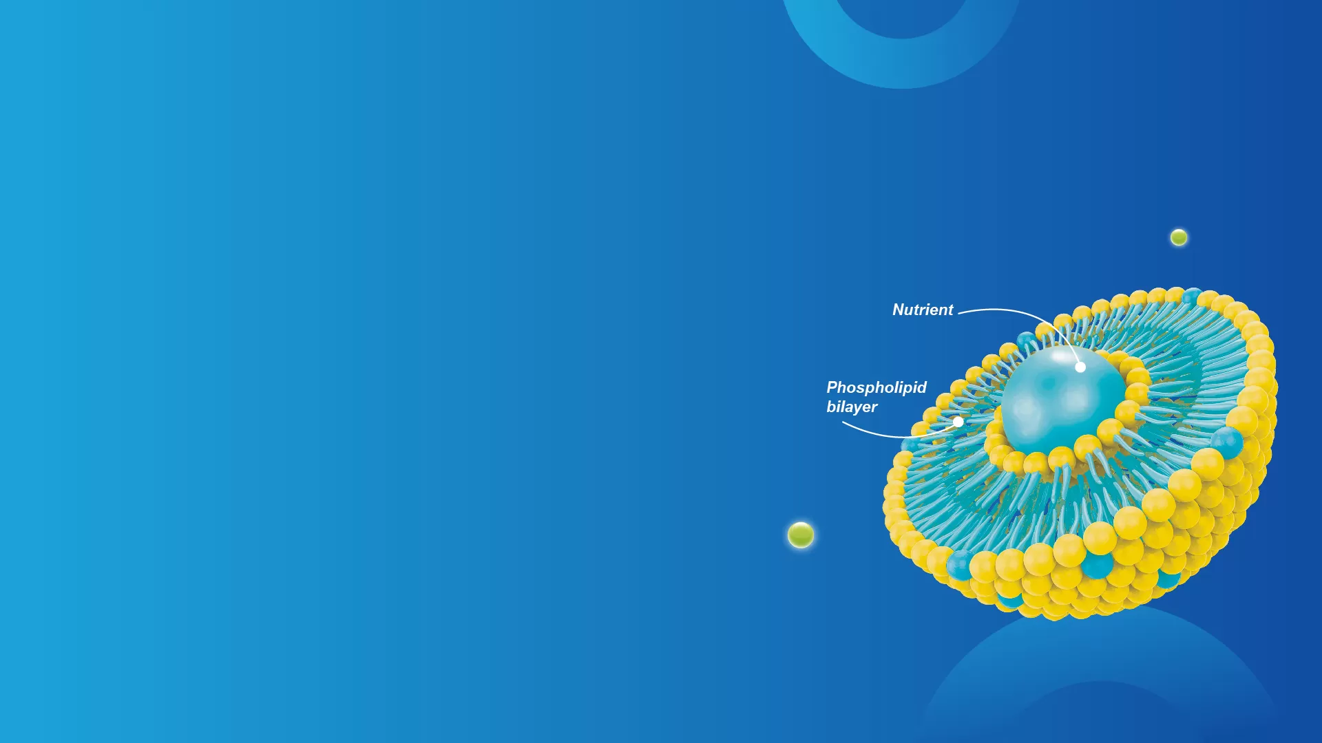 Liposomen-Technologie