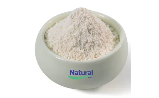 Liposomales Glutathion vs. Glutathion: Welches ist wirksamer?