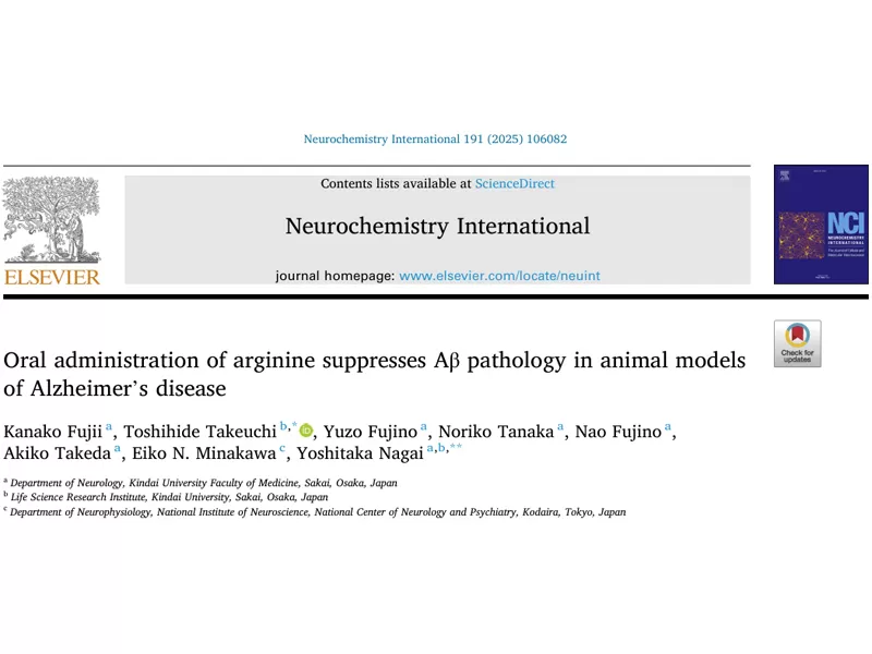 Auf der Suche nach einem sicheren und effektiven Inhaltsstoff für die Gehirn gesundheit? Arginin: Wissenschaft lich unterstützt, kosten günstig, um Ihre Kernprodukt-Schmerz punkte zu lösen!
