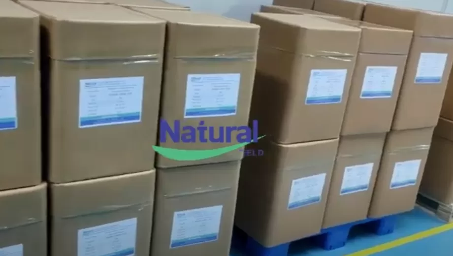 Lieferung schneller machen