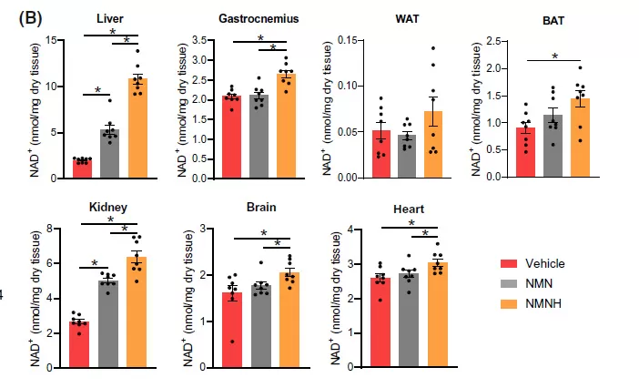 UTHPEAK<ALIMT >&trade;</ALIMT> nmnh liposomal