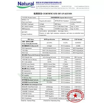 Pygeum-Rinden-Extrakt