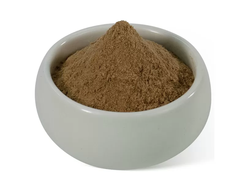 Shiitake-Pilzextrakt kaufen
