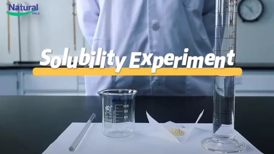 Löslichkeit experiment von NF Ashwa Ashwagandha Extrakt pulver