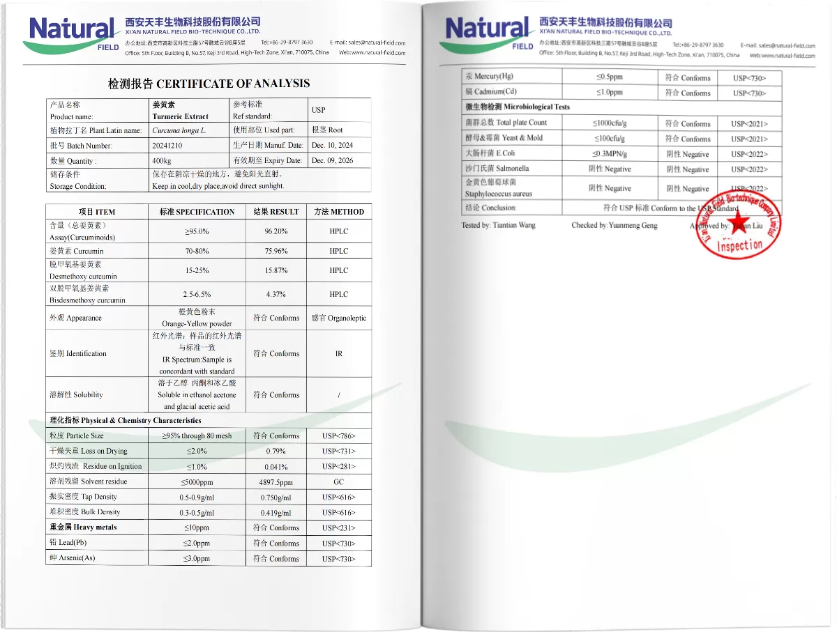 Kurkuma Curcumin Extrakt PDF