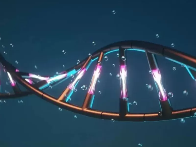 Was ist NAD, das Wissenschaftler seit 100 Jahren studiert haben?