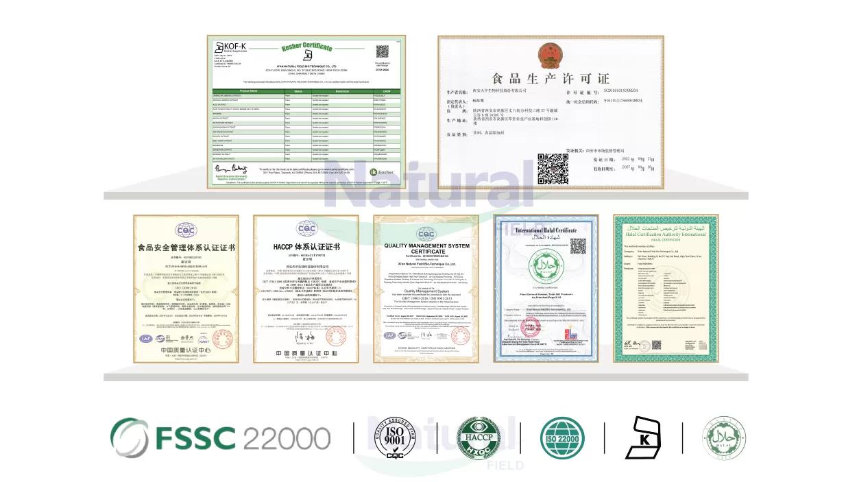 Warum Choos uns als Ihr vertrauens würdiger Curcuma Longa Extrakt Lieferant?